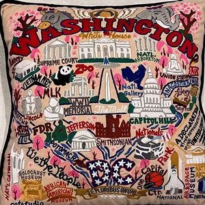 Cat Studio Washington DC Pillow